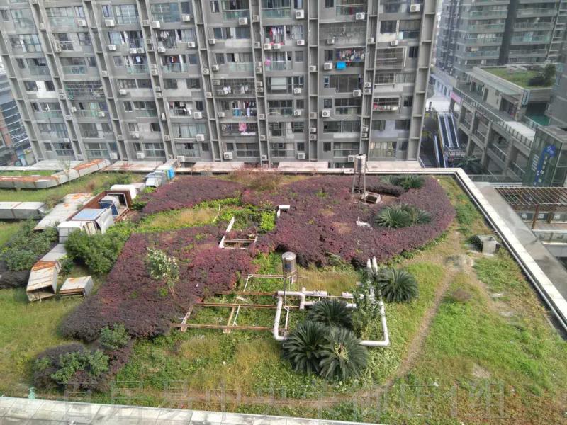 宝利金中央荣御房间